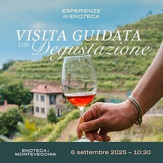 Tasting + Guided Tour September 6